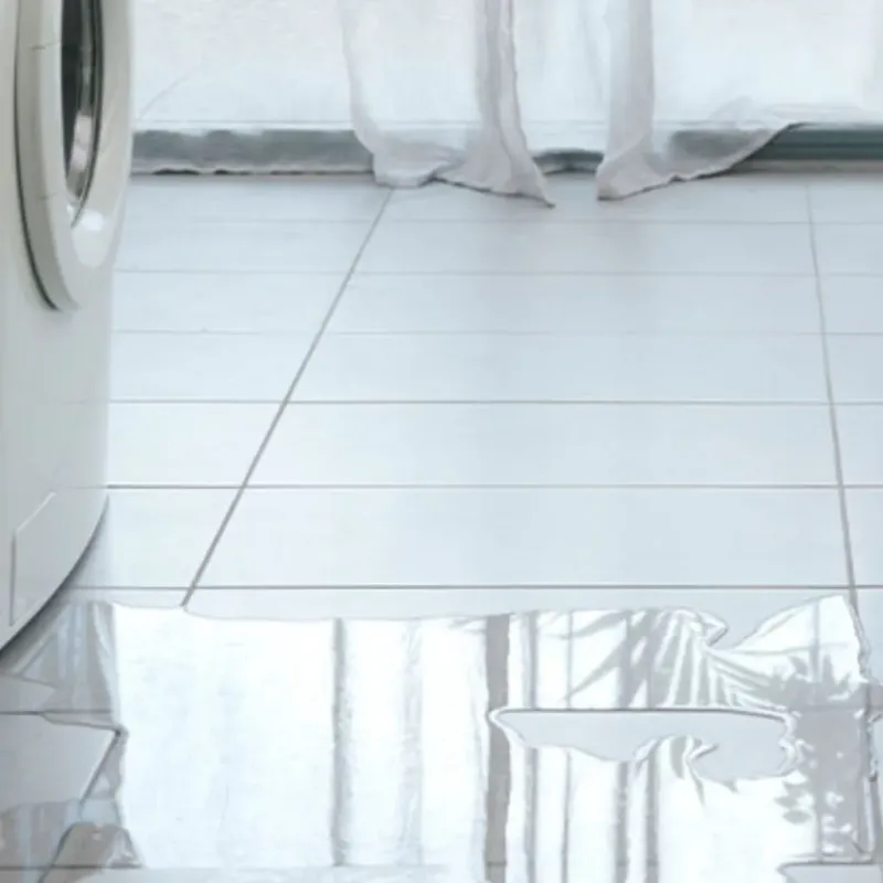 Appliance Leak Cleanup in Johnsburg, IL