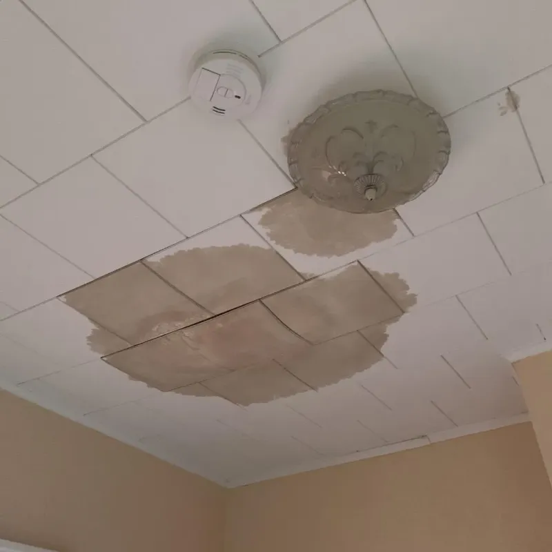 Ceiling Water Damage Repair in Johnsburg, IL