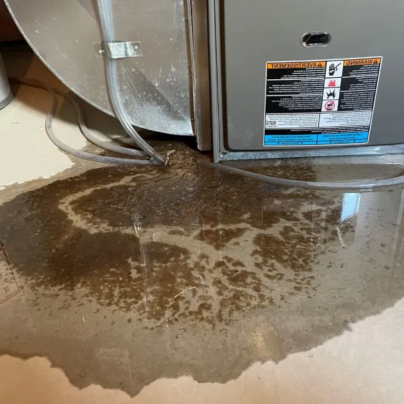 Pipe Burst and Leak Restoration in Johnsburg, IL