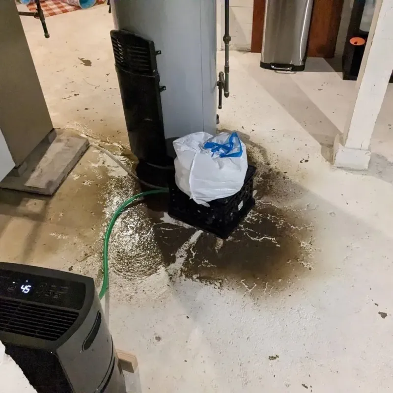 Sewage Backup Cleanup Service in Johnsburg, IL
